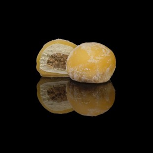 Моті Снікерс